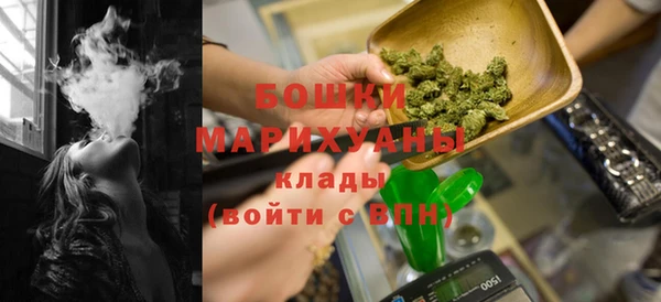 прущие грибы Белоозёрский