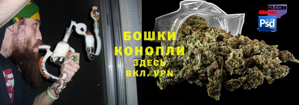 прущие грибы Белоозёрский